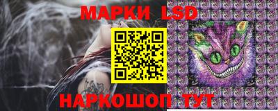 ГАЛЛЮЦИНОГЕННЫЕ ГРИБЫ Кингисепп