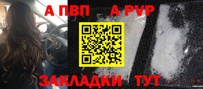 ГАЛЛЮЦИНОГЕННЫЕ ГРИБЫ Кингисепп